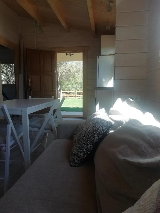 Apartmán Woodhouse Tarifa Exteriér fotografie